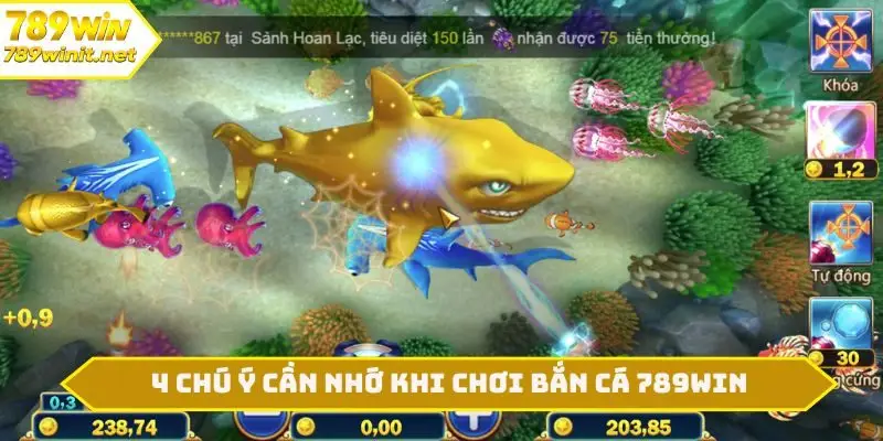 4 chú ý cần nhớ khi chơi bắn cá 789WIN