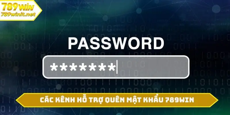 Các kênh hỗ trợ quên mật khẩu 789WIN