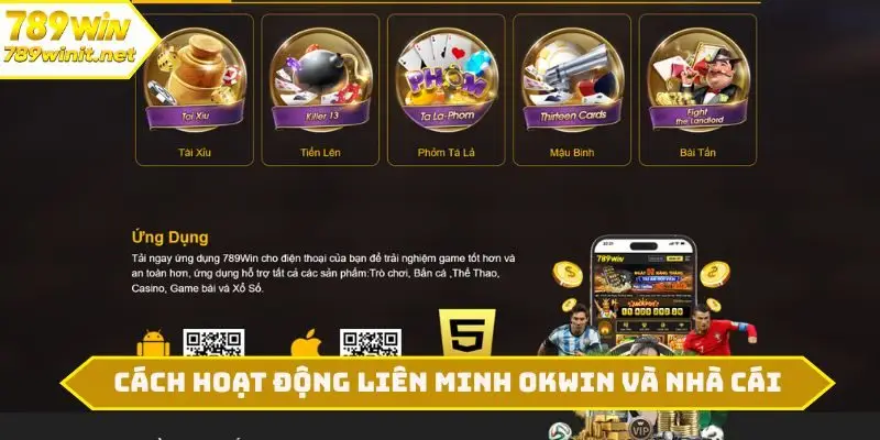 Cách hoạt động của liên minh OKWIN và nhà cái