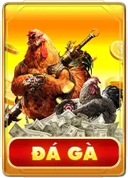đá gà 789win