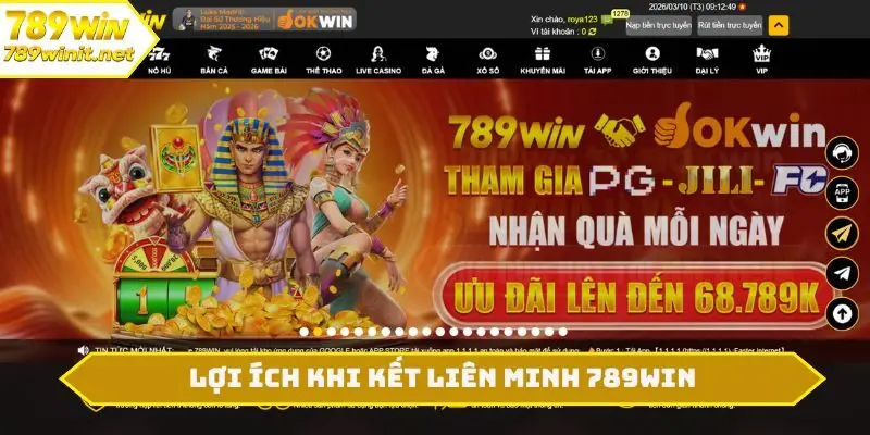 Lợi ích khi kết liên minh 789WIN