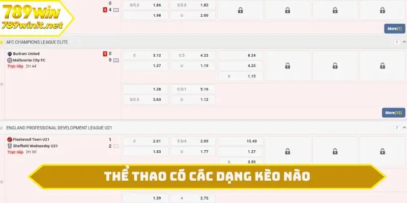 Thể thao có các dạng kèo nào?