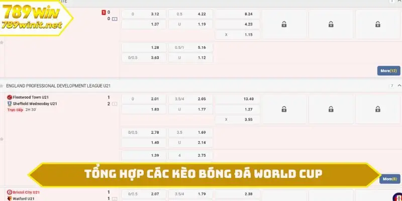 Tổng hợp các kèo bóng đá World Cup